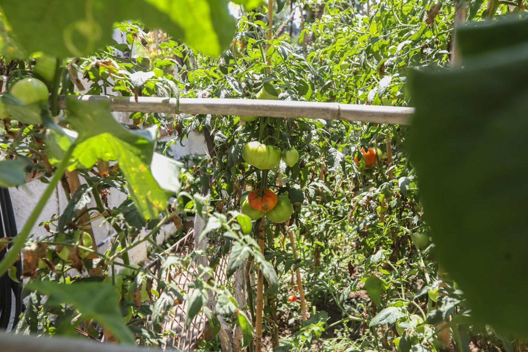 Natasha'S Home بيراما المظهر الخارجي الصورة